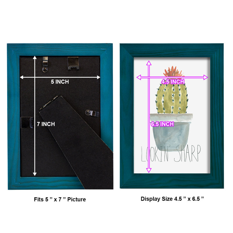 Sedona Punny Plant II encadrée sur papier, H 9 po x l 7 po x P 1 po, Bleu océan