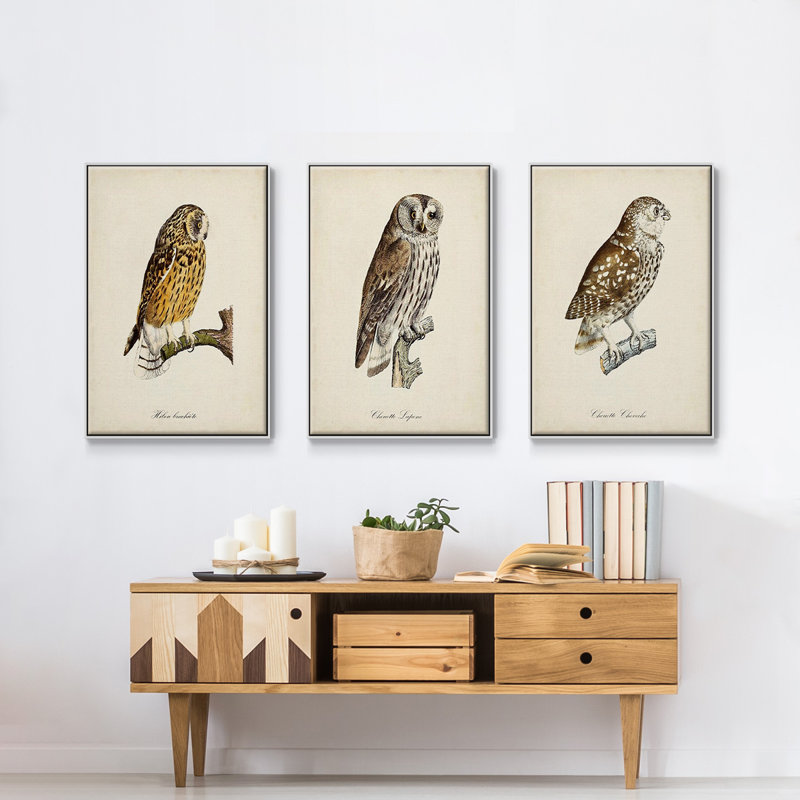 French Owls I - ensemble de 3 reproductions sur toile, H 36 po x l 72 po x P 2 po, Cadre blanc