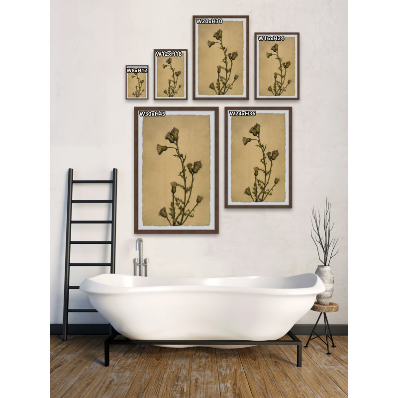 «Creeping Thistle», reproduction encadrée, H 18 po x l 12 po