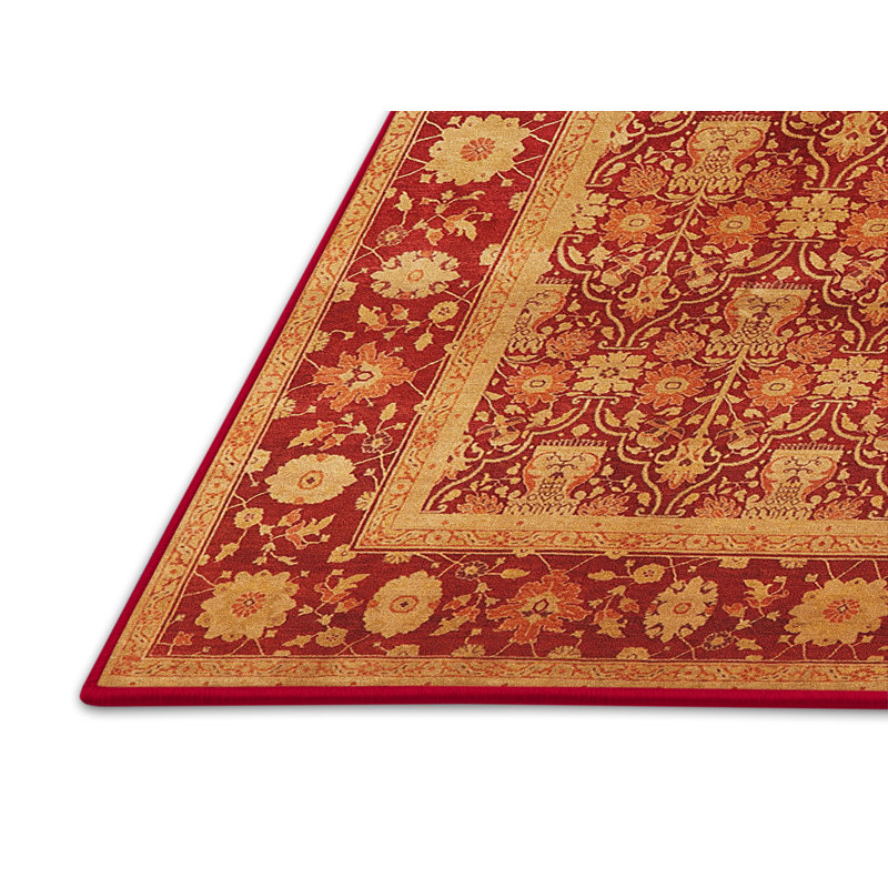 Tapis oriental rouge / beige Odistanus, Rectangle 2 pi x 4 pi
