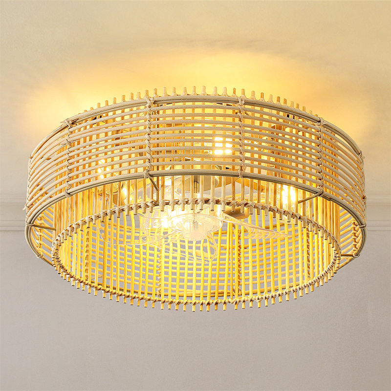 Ventilateur de plafond en cage 19,29 "avec ensemble d'éclairage et télécommande Boho, Flush Mount