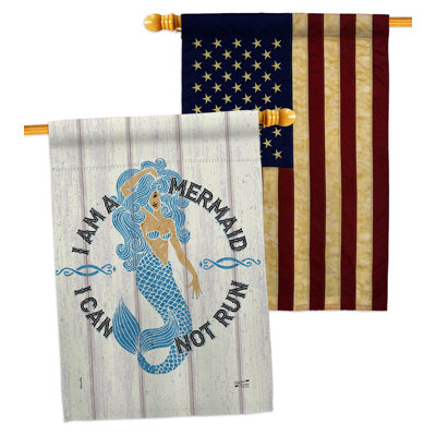 Double Sided 40 in. H x 28 in. W Polyester House Flag