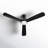 Erina 52'' Ceiling Fan with LED Lights-88061648-88061649