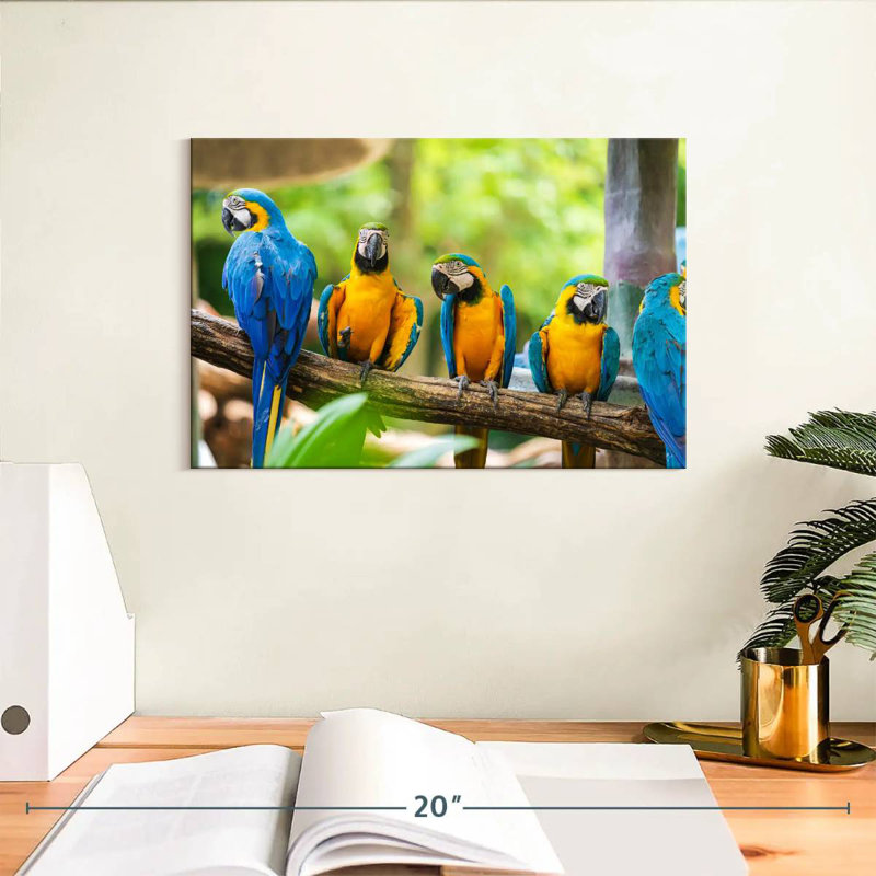 Brampt Macaw Party, 8" H x 12" W