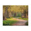 No Frame Print on Canvas-1716782631