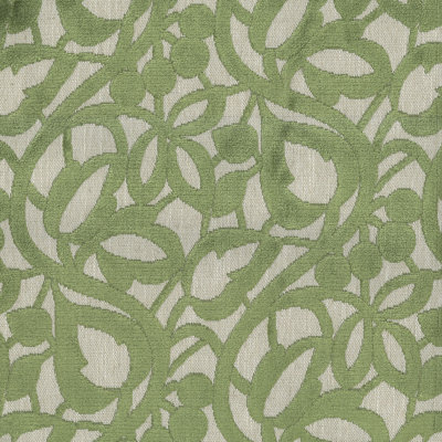Abbeyshea Merits Velvet Fabric By The Yard