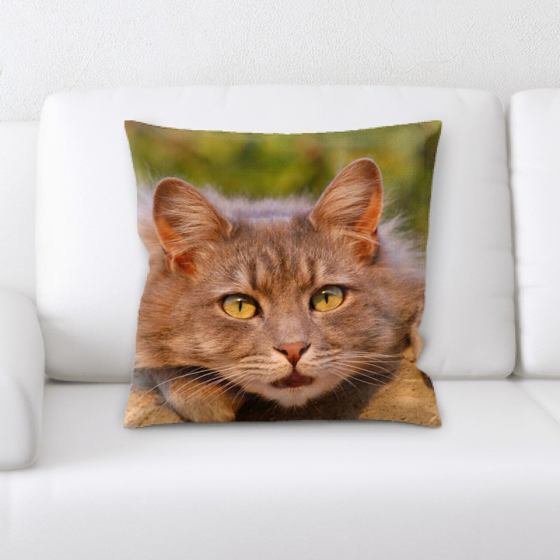 Coussin pour chat