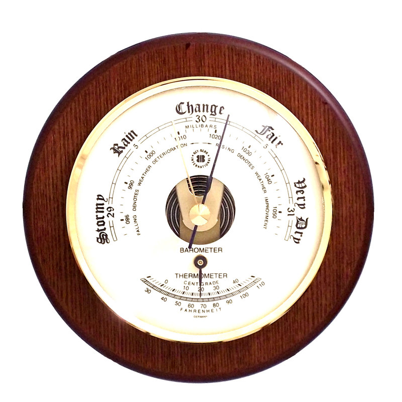 Esa 5.35'' Wireless Thermometer