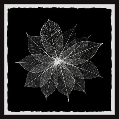 Leaf Splash - Single Picture Frame Painting
