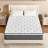 Alwyn Home Cascio 14" Medium Hybrid Mattress in a Box Pillow Top-298987783