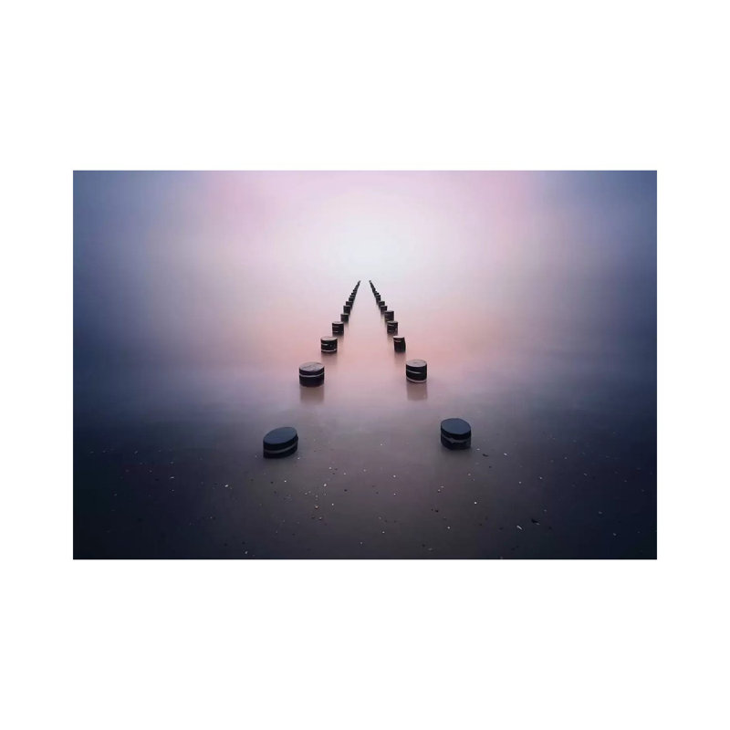 Alone in the Silence by Srecko Jubic - Wrapped Canvas Photograph, 101.6 cm H x 66.04 cm W x 3.175 cm D