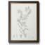 «Botanical Study in Sage II», peinture sur toile encadrée-8524524