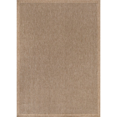 Indoor Outdoor Area Rug