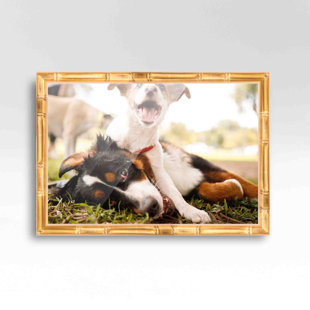 Annecy 30x40 Frame Black 1 Pack, Classic 30x40 Picture Frame Display 24x36 Pictures with Mat or 30x40 Without Mat, Horizontal and Vertical for