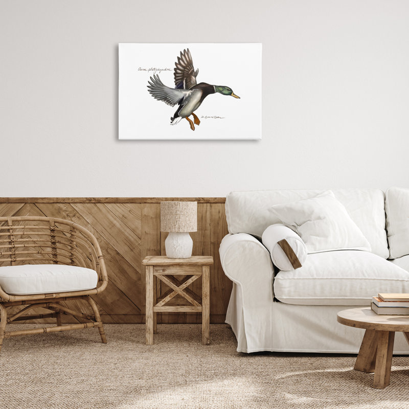 Canard colvert volant par Jadei, H 30 po x l 45 po x P 1,5 po