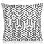 Dash Geometric Square Cushion Cover-971997845