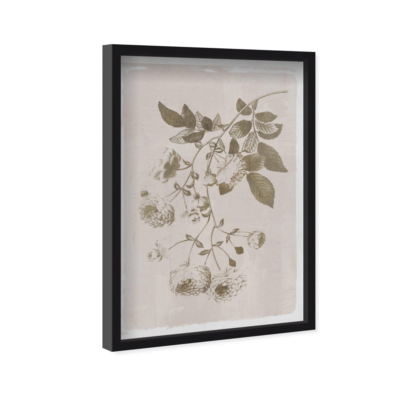 Oliver Gal Illustration of Flowers Floral and Botanical - Luxury Shadowbox Framed Wall Art, 55" H x 37" W, Black