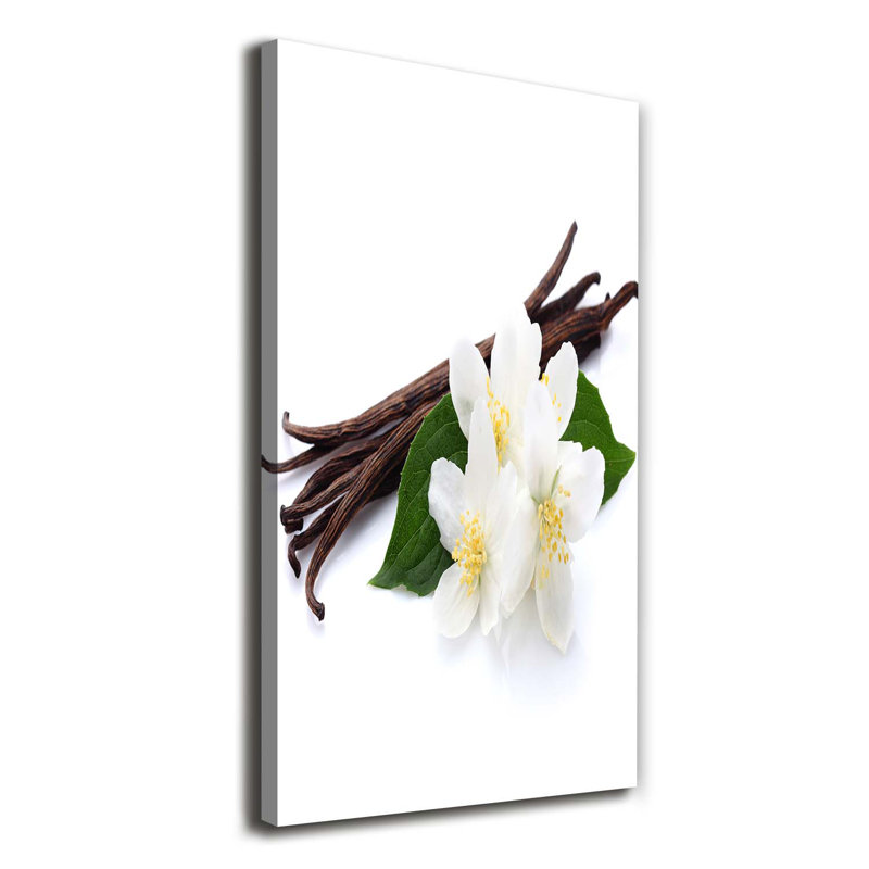 Jasmine And Vanilla - Wrapped Canvas Print