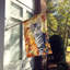 Chat en feuilles d'automne-112700527