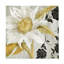 Art sur toile «Bachelor Sasha Sunroom I»-104138146
