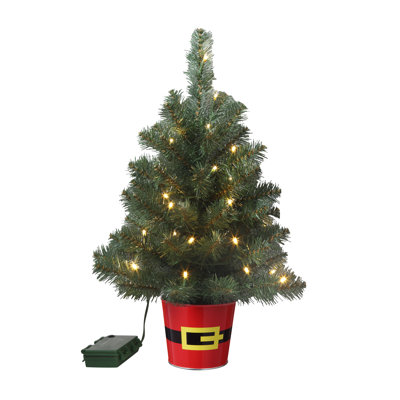  20 Inch Potted Night Tree