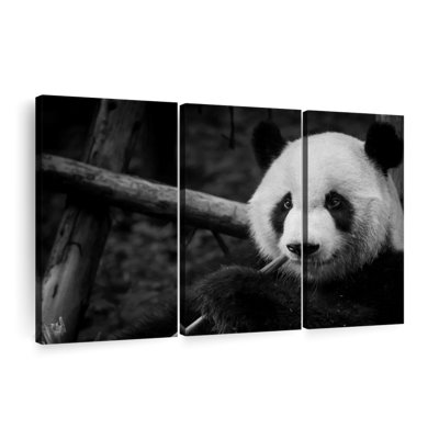 «Eating Giant Panda», 3 pièces sur toile