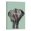 Art de bout éléphant-49839872-49839876