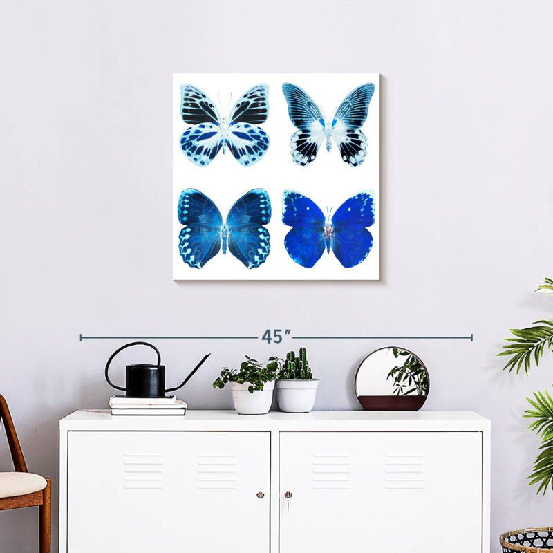 Radiographie de Brampt Miss Butterfly - bleu, H 24 po x l 24 po