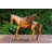 Jayanthi Animals Figurines & Sculptures