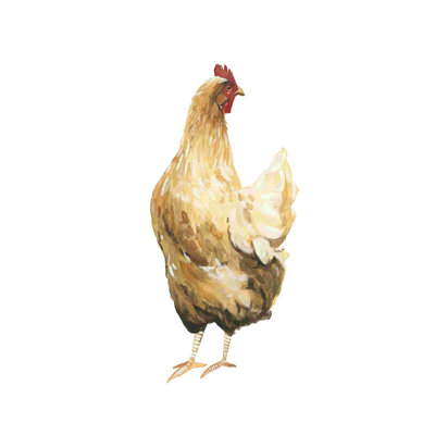 Poulet d'automne III
