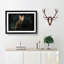 Portrait of a Fox in Abstract - Picture Frame Painting Print-55767186-55767187