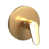 Brushed Gold