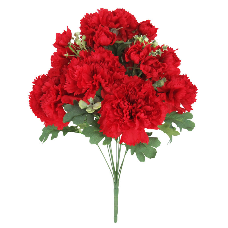 Oeillet, Rouge