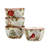 Silent Night 16Pc Dinnerware Set