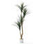 Faux olivier en pot-133254246-133254254-133254276