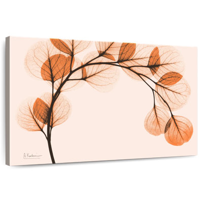 Harnek orange eucalyptus II