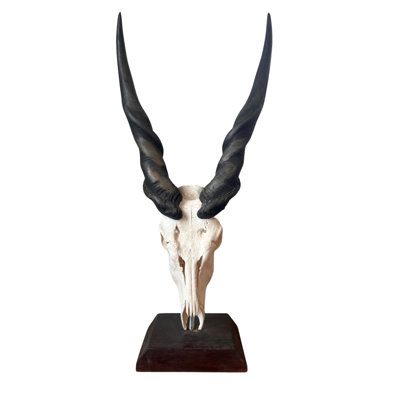 Giant Eland Skull On Wooden Pedestal
