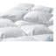 Santa Barbara Heavyweight Down Duvet Insert-1074275030