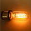 40 watts, ampoule T45 à intensité variable, culot E26