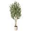 Olive artificielle Ashwell avec pot blanc -155919475