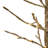 PAPER LED TREE
