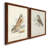 " Hawk Owl " 2 - Pieces-747655249-747655244