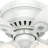 46" Hatherton 5 - Blade Flush Mount Ceiling Fan with Pull Chain and Light Kit Included-23681174