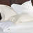 Roma Egyptian Cotton Sateen-88084016-88084014