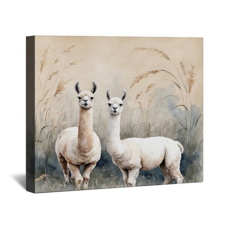 Deux lamas dans une toile tendue de plusieurs tailles, 16 x 16 pouces