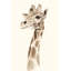 Safari Portrait III by Grace Popp - Painting-333392739-333334284