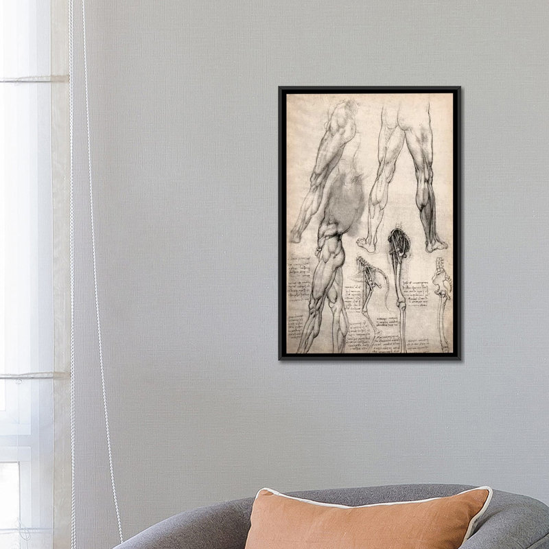 «S Carnets de croquis de jambes» par Leonardo Da Vinci, impression sur toile tendue, H 40 po x l 26 po x P 1,5 po