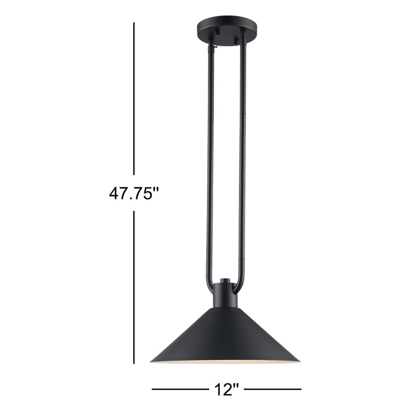 Luminaire suspendu industriel Fayra, H 10,25 po x l 12 po x P 12 po, Noir