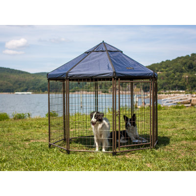 Pet Gazebo Dog Kennel Play Pen with Market Top Canopy
