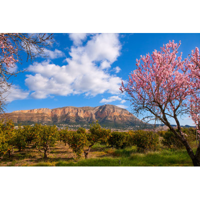 " Almond Tree " by Lunamarina
